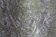 Hainton fibreglass roof work